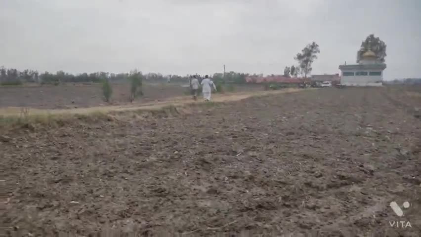 गांव सिरसा खेड़ी में किया गया विशाल भंडारे का आयोजन #julana_khaber #sirsa_kheri