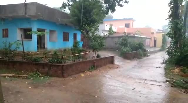 बौंसी: बौसी प्रखंड के अंतर्गत बैदाचक गांव में आज हुई जम के बारिश, पेड़ पौधों को मिली राहत! #आदित्य अनुज