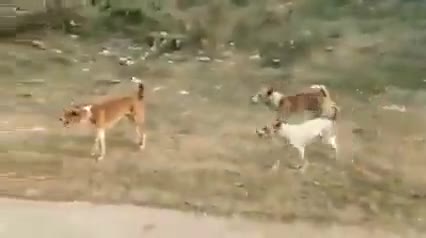 #डिबेट आज कल का..! न्यूज़ चैनल आज यही करा रहा है