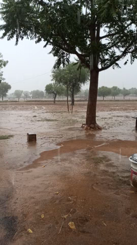 किशनगढ़ #रेनवाल के आसपास क्षेत्र में जमकर हो रही है #बारिश