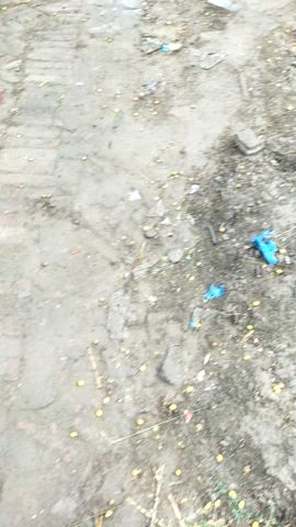 बिलग्राम: #bhrastachar . Bargawan me jo main road se #gaushala ko jane wali road ka ye hal hai ab barik dino me paidal chalna bhi