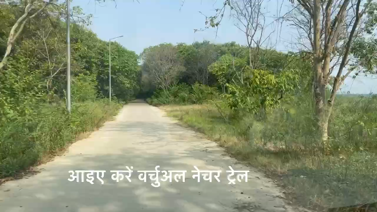 #gorakhpurzoo #ecotourism #zoo #naturwalk #yogi @zoo #dfo #cmyogi