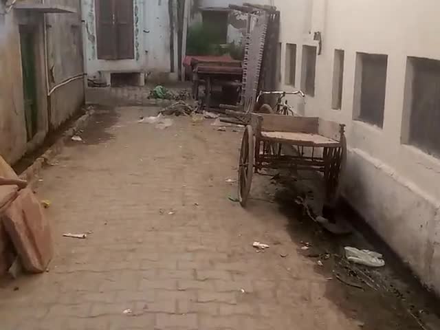 डीग: kachcha talab singh Paul get Deeg Mali mohhalla 
#street garbag