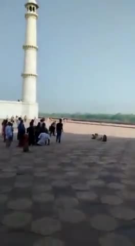 #tajmahal के अंदर आतंक मचा रहे बंदरों का वीडियो हुआ वायरल, शनिवार सुबह बंदरों ने एक बच्चे को किया घायल, #videoviral