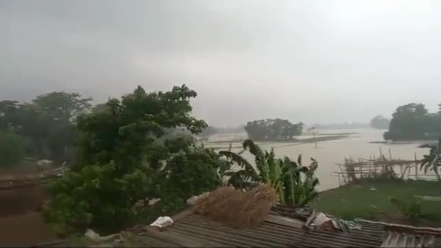 पकड़ीदयाल क्षेत्र में लगातार बारिश से बाढ़ की स्थिति। किसान हुए परेशान।
#पकड़ीदयाल #पूर्वी चंपारण