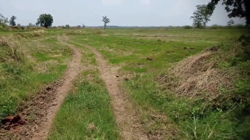 महासमुंद: छत्तीसगढ़ में मानसून को लेकर किसानों में चिंता का विषय बना हुआ है#मानसून