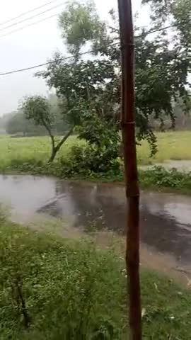 #madhepura #mohanpur #sukhasan