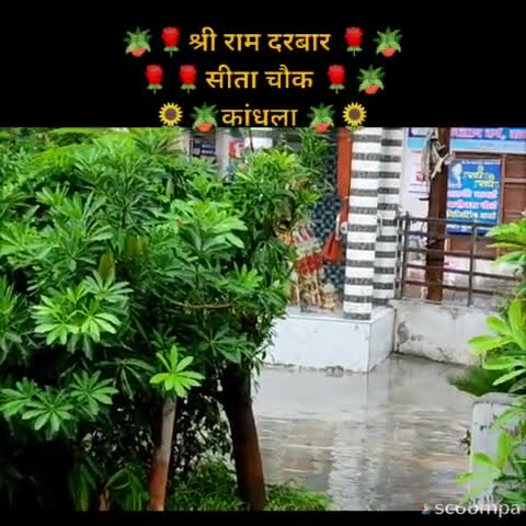 #NEWS हल्की बारिश से राहत और सुकून में श्री राम दरबार, सीता चौक, कांधला #मॉनसून #sanatandharm #jai_shri_ram