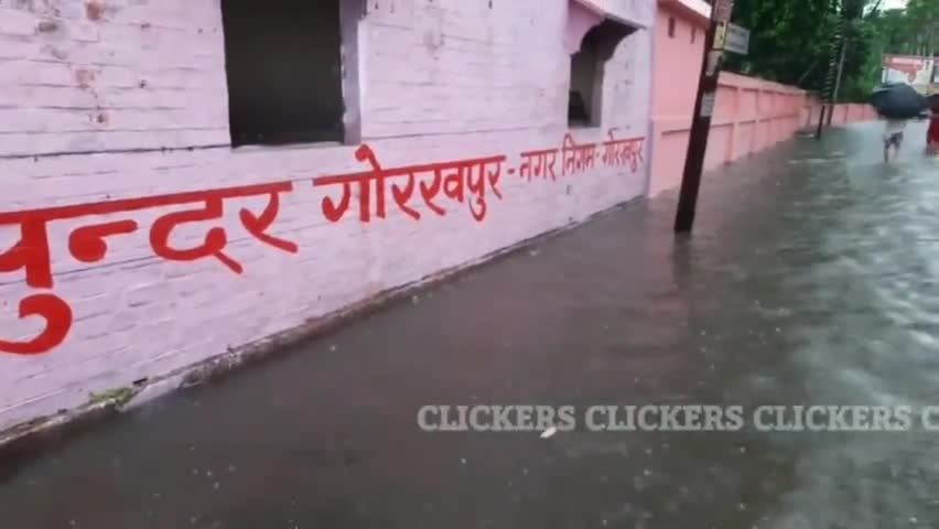 जब विकास के नाम पर वोट नही दिए तो फिर विरोध किस बात का?
मौका अच्छा है हर साल की तरह इस साल भी तैरना सीखो-मछली मारो #GKP