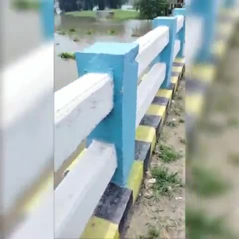 डंडखोरा: #कदवा प्रखंड क्षेत्र के #शिवगंज में महानंदा नदी का जलस्तर में हुई वृद्धि