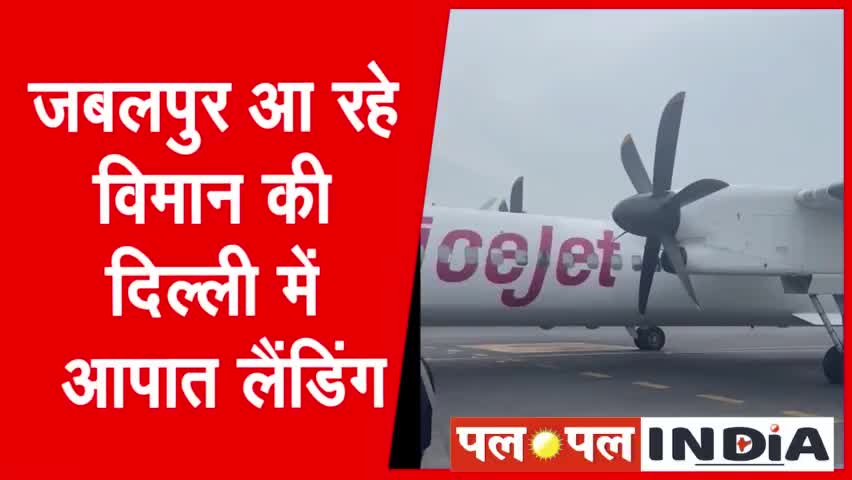 जबलपुर: जबलपुर आ रहे विमान की दिल्ली में आपात लैंडिंग
Jabalpur - Delhi - Spicejet

#spicejet #aircraftcrash #emergencylanding