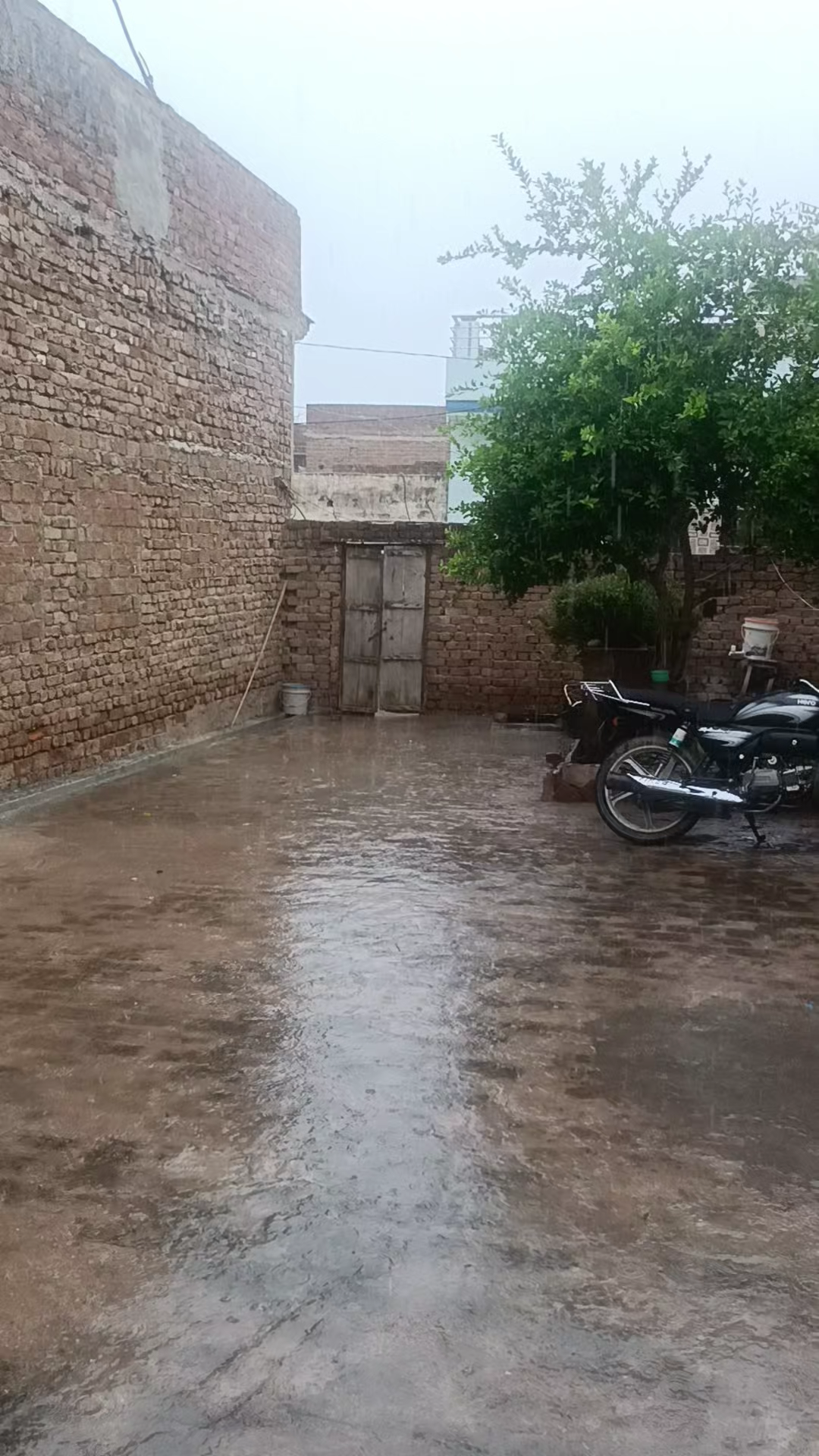 सूरतगढ़ में आज भी बारिश
#सूरतगढ़#बारिश