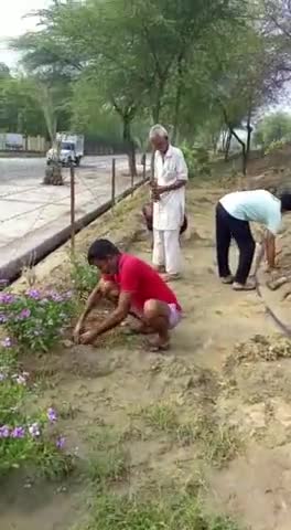 रायसिंहनगर: आज बीएसएफ रोड़ और शिवपथ पर पौधारोपण किया ।।
#Work_For_Environment🌱
#SundayMotivation🌳