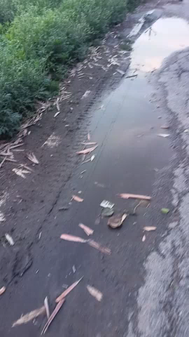 करगहर: kharahana garbhe road hai jo puri tarah Tut Chuka hai
#kharahana #road #kargahar #rohtas #viralvideos