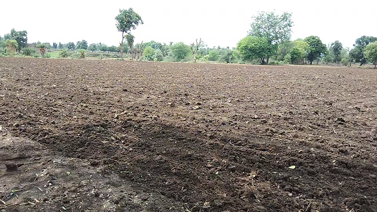 आगर मालवा जिले में फसल बुवाई के बाद अब बारिश का इंतजार कर रहे हैं किसान।
#किसान #kisan #barish #barsat #बारिश #बरसात