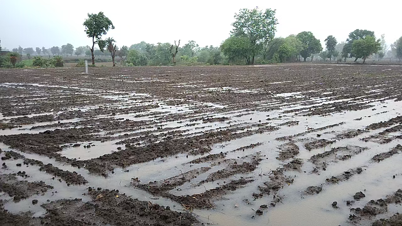 रात से बारिश चालू होने के बाद दो तीन से पानी का इंतजार कर रहे किसानों के मन मे खुशहाली
#barish #barsat #mosam #varsha