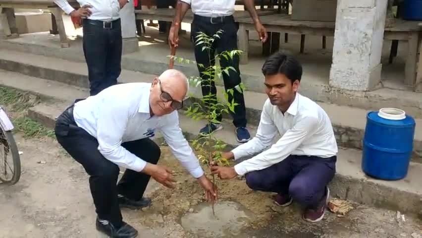 कलेक्ट्रेट परिसर रायबरेली#अधिवक्ता दातादीन द्वारा किया गया वृक्षारोपण।इस अवसर पर वरिष्ठ समाजसेवी शिवकुमार मौजूद रहे।