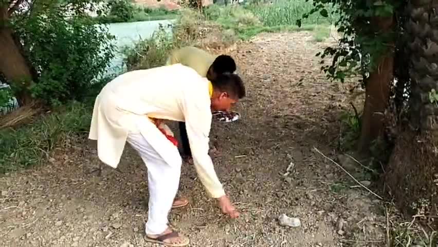 #प्रकृति के साथ #छेड़-छाड़ पड़ती है भारी #गेहूं व #फलों की #पैदावार के साथ-साथ #खजूर की पैदावार में भी भारी #कमी देखी गई