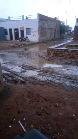 #सेहत #आम जन 
#वायरल फीवर