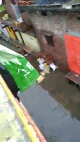 नटेरन: nangtla bagicha bard no. 7 vidisha me rod par Paani#paani khali nahi ho raha he