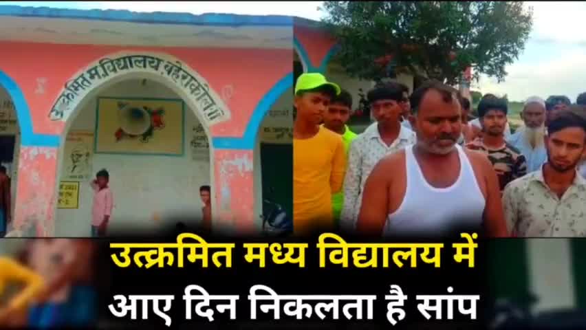 स्कूल में निकलता है सांप, दहशत में है छात्र, हेड मास्टर पर लगा लापरवाही का आरोप, देखें पूरी खबर |
#Kishanganjnews
