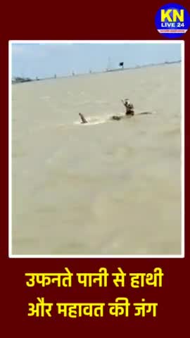 उफनते पानी से हाथी और महावत की जंग, तस्वीरें बिहार के राघोपुर की हैं. 
#Bihar #biharflood