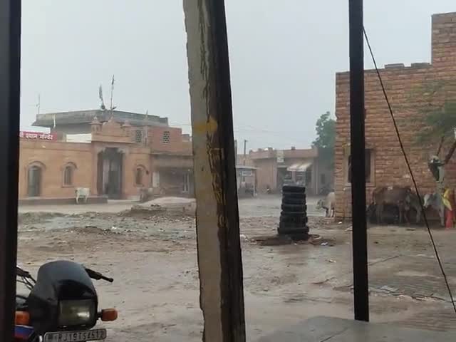 बिलारा: बिलाड़ा के आसपास के क्षेत्र में बारी गरजना के साथ जोरदार बारिश #jodhour#jodhpurnagarnigamnorth #bilara