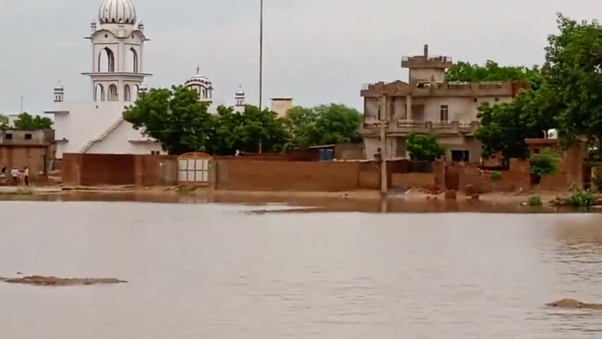 पदमपुर: village 7cc me barsat hua bura halat 
bhut jyda barsaat k karan #rohan st 9667488369@