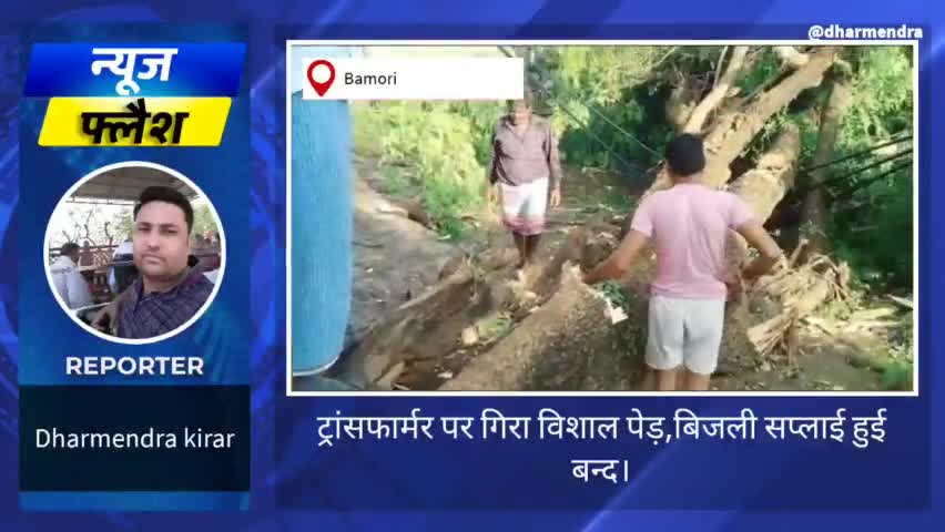 ट्रांसफार्मर पर गिरा विशाल पेड़, #बिजली सप्लाइ हुई बाधित।#समस्या #विद्युत #विभाग #आमजन #snju #लोकल #पब्लिक #public #local