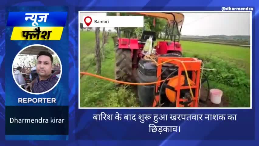 बारिश के बाद शुरू हुआ खरपतवार नाशक का छिड़काव शुरू। #किसान #खेत #Farming #sprey #snju #issue #local #farming #farmer