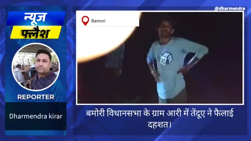 ग्राम आरी में फैली खूंखार  तेंदुए की दहशत। #दहशत #खूंखार #जंगली #जंगल #जानवर #गाय #डर #खोफ #भय #ग्रामीण #snju #वन #अमला