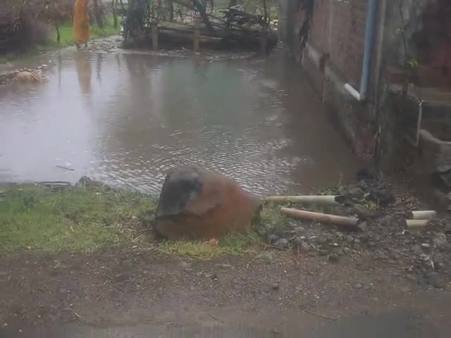 सुसनेर: गावँ में रुका बारिश का पानी-नाले को किया गोबर डालकर बंद#स्वच्छ भारत अभियान की गांव में उड़ रही धज्जिया