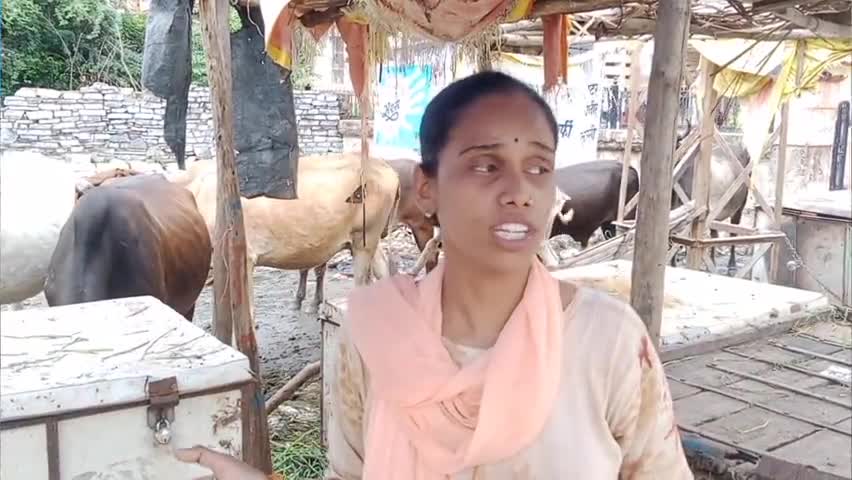 चित्तौड़गढ़#विश्व भर से आते हैं#पर्यटक जहां रहते हैं उसके पास ही बना दिया पूरे शहर भर का#कचरे डालने का स्थान सुनीता