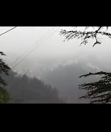 last night rain in Shimla #shimla #rainfall #news #latest #shimlanews
