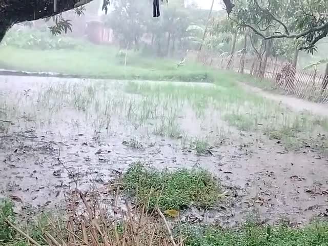 रीगा: #ग्राम#,मरर पोस्ट #पुनौरा #थाना #रीगाका #बारिश की #संभावना बहुत भयानक आज भी हो रहा और द#हाड़ #आने की #संभावना है