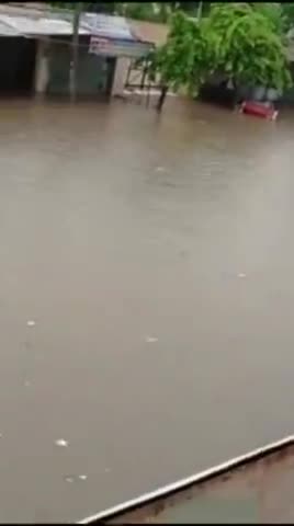 टोहाना: बारिश के बाद  टोहाना की हालत देखो ..🌦️🌦️⛈️⛈️⛈️ #टोहाना #haryana