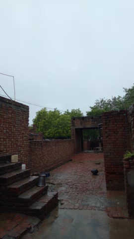 बरवाला: #bugana मैं बाड़ जैसा हाल होने के बाद बारिश हुई डिमी 😔 #barrish #rainsideeffect  #hisar #haryana#Hisarnews #Barwala