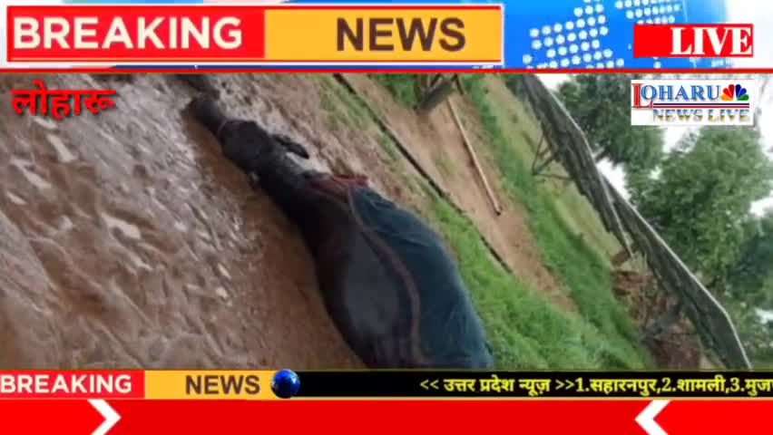 लोहारू: गांव सोहासड़ा एक किसान की आसमानी बिजली गिरने से 2 बैस और एक कटड़ी की मौत
#shotsvideo