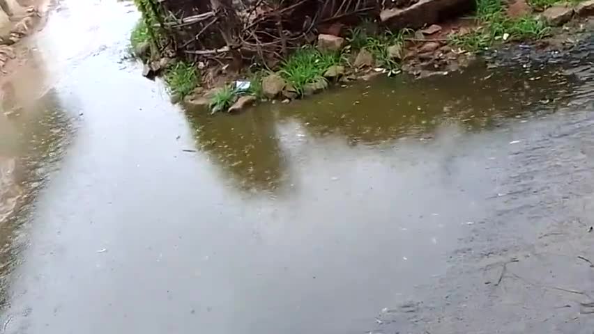 राजनगर: उदयपुरा मैं बारिश कै कारड सड़को में बरा पानी बारिश रुकने का नाम नहीं ले रही है #उदयपुरा #बारिश #saurabh_mishra__1