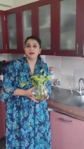 10 हफ्ते 10 बजे 10 मिनट 
डेंगू पर वार हर रविवार
#dengue #season #rains #clean #water