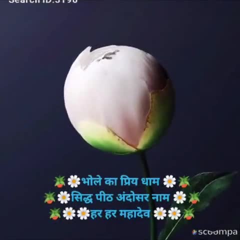 #NEWS भोले का प्रिय धाम, सिद्ध पीठ अंदोसर नाम, #चलो_अंदोसर #हर_हर_महादेव #सनातन_धर्म #कांवड़_यात्रा2022
