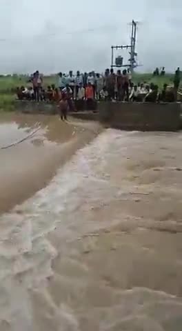 कोलारस के ग्राम टामकी मै एक युवक पानी के तेज वहाव में  बह गया   रेस्क्यू टीम सहित तहसीलदार पहुंचे मौके पर #kobra_news