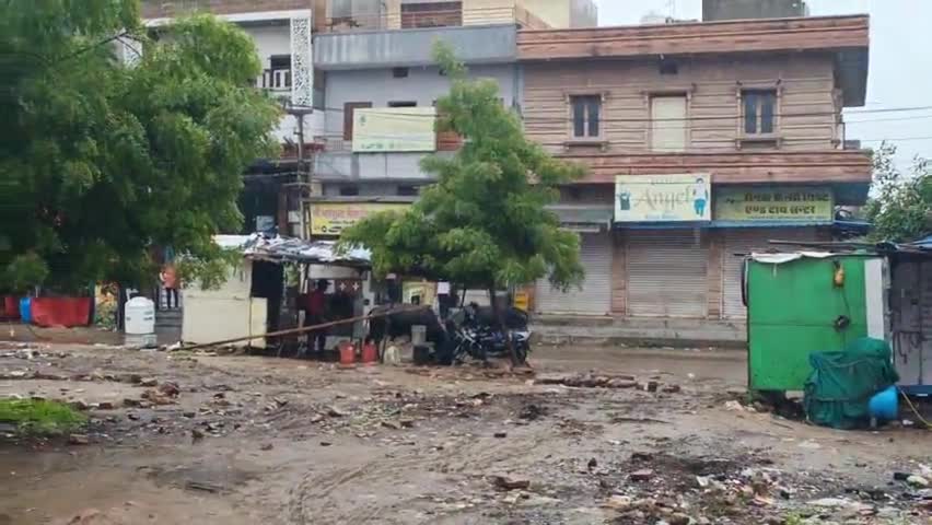 जोधपुर: कुडी भगतासनी पंचायत मुख्य बाजार भगवान परशुराम पार्क ब्लोक 2 सेक्टर में आवारा पशुओं का तांडव बढ़ता जा रहा है #नगरनिगम