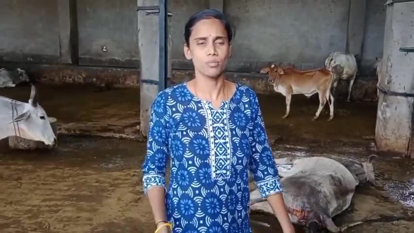 गाय माता भोले के भक्त#नन्दी के लिए एक अच्छा हॉस्पिटल बनवा दो विकास करने वाले नेता#मंत्रियों दुआ लगेगी #सुनीता शर्मा