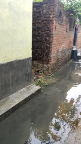 सहार: भोजपुर जिले के सहार थाने के अंतर्गत मथुरापुर गांव में  नालीं  के पानी पी सी सी पर आ चुकी
#prince_Mp