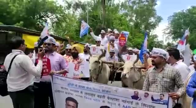 बढते महंगाई के खिलाफ आप का झांसी मे जोरदार प्रदर्शन
#aapbihar #aapgujarat #aaputtarpradesh #aapgujaratmedia #indianidol