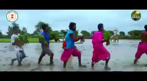 सावन के हमर पहिलि तिहार "हरेली" के आप जम्मो संगवारी मन ला गाड़ा गाड़ा बधाई😊
🌹🌹🌺💐🙏✨️✨️

#hareli #Chhattisgarh #Gedi #morhareli #मोरहरेली #CMBhupeshBaghel