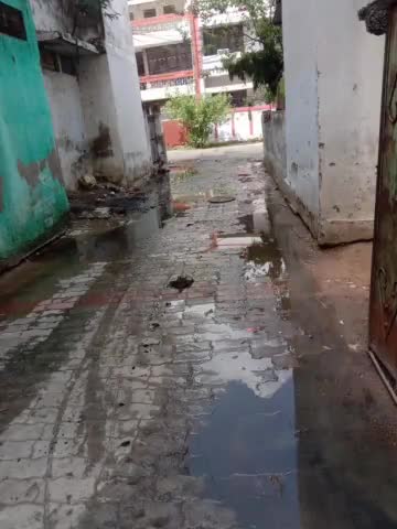 #काकादेव के काशी राम कालोनी 117/219 एल ब्लॉक काकादेव की 14/4वाली गाली में हुआ सीवर से जल भराव। बदबू से जीना हुआ बेहाल।