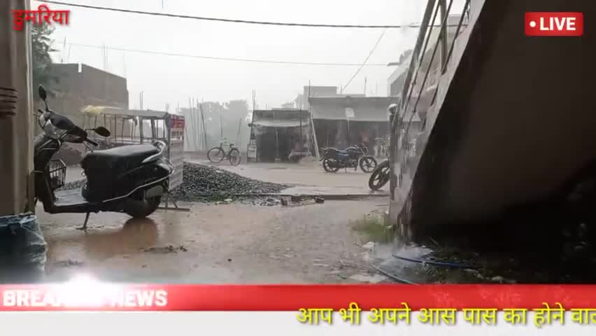 डुमरिया: #डुमरिया में आज जम कर हुआ बारिश किसानों का चेहरा पर छाई रौनक