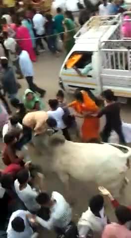 नगर परिषद के ही इंतज़ाम और नगर परिषद की ही लापरवाही। तीज मेले में आवारा साँड़ के आतंक में घायल युवक।
#sikar_News_live